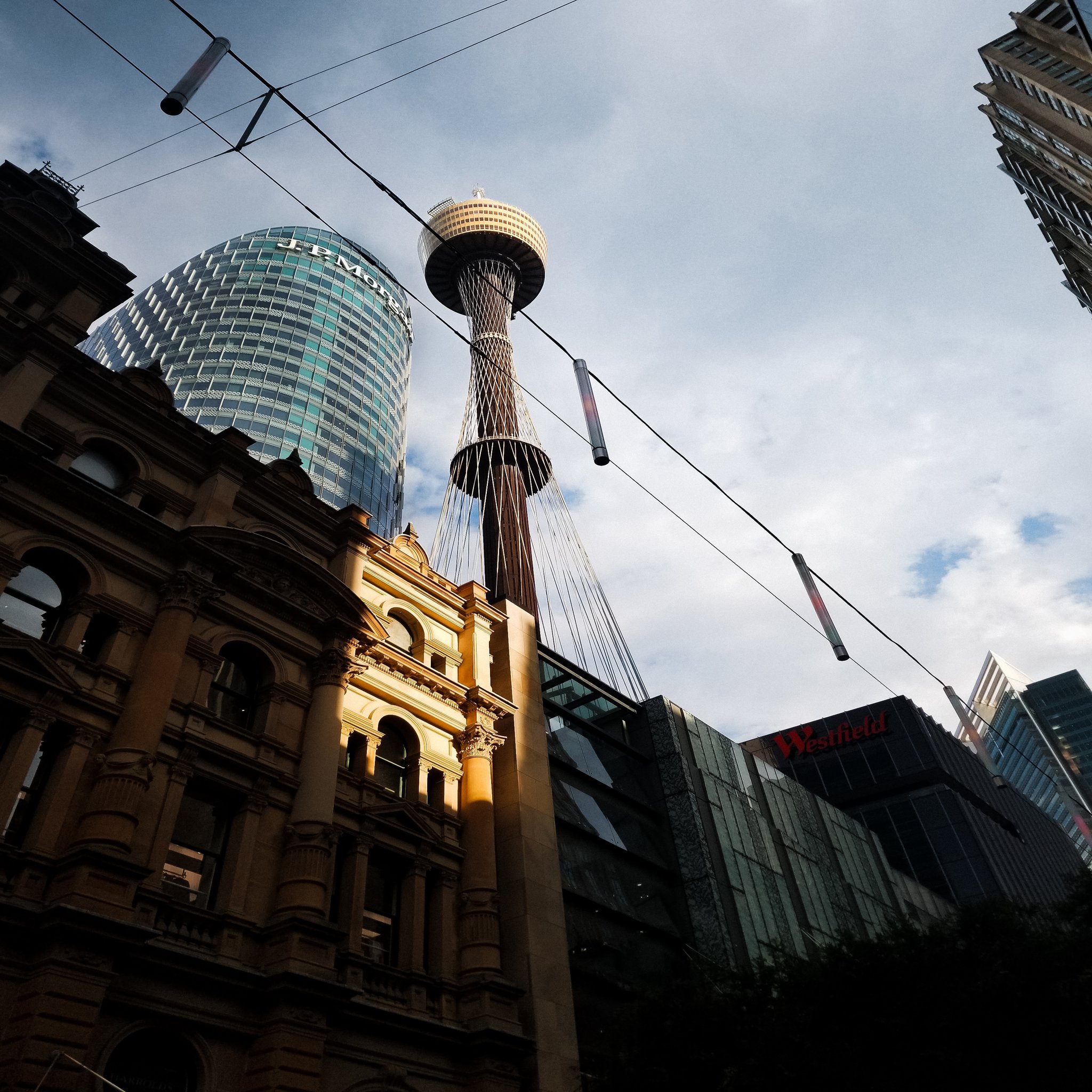 Sydney Tower Eye at golden hour